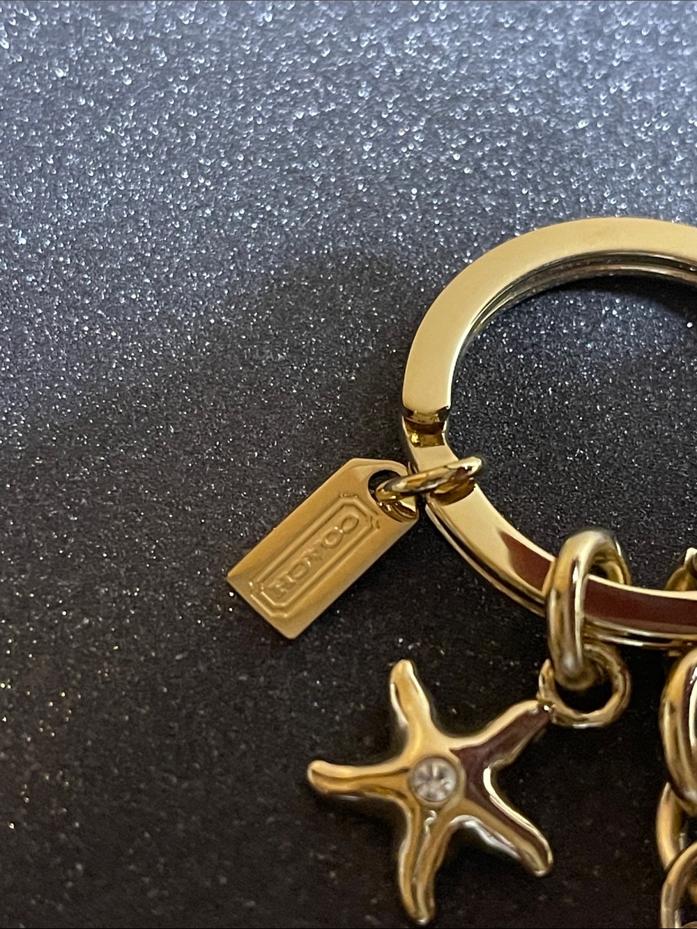 Coach Gold Fish Charm Keychain with Star Accent and Coach Pen - Picture 3 of 6